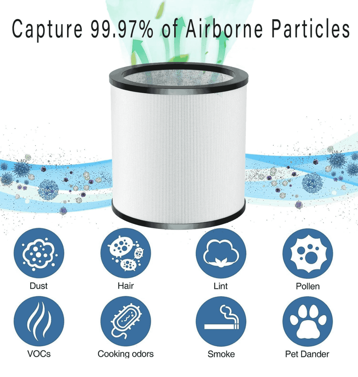 Dyson 360 Glass Hepa Filter