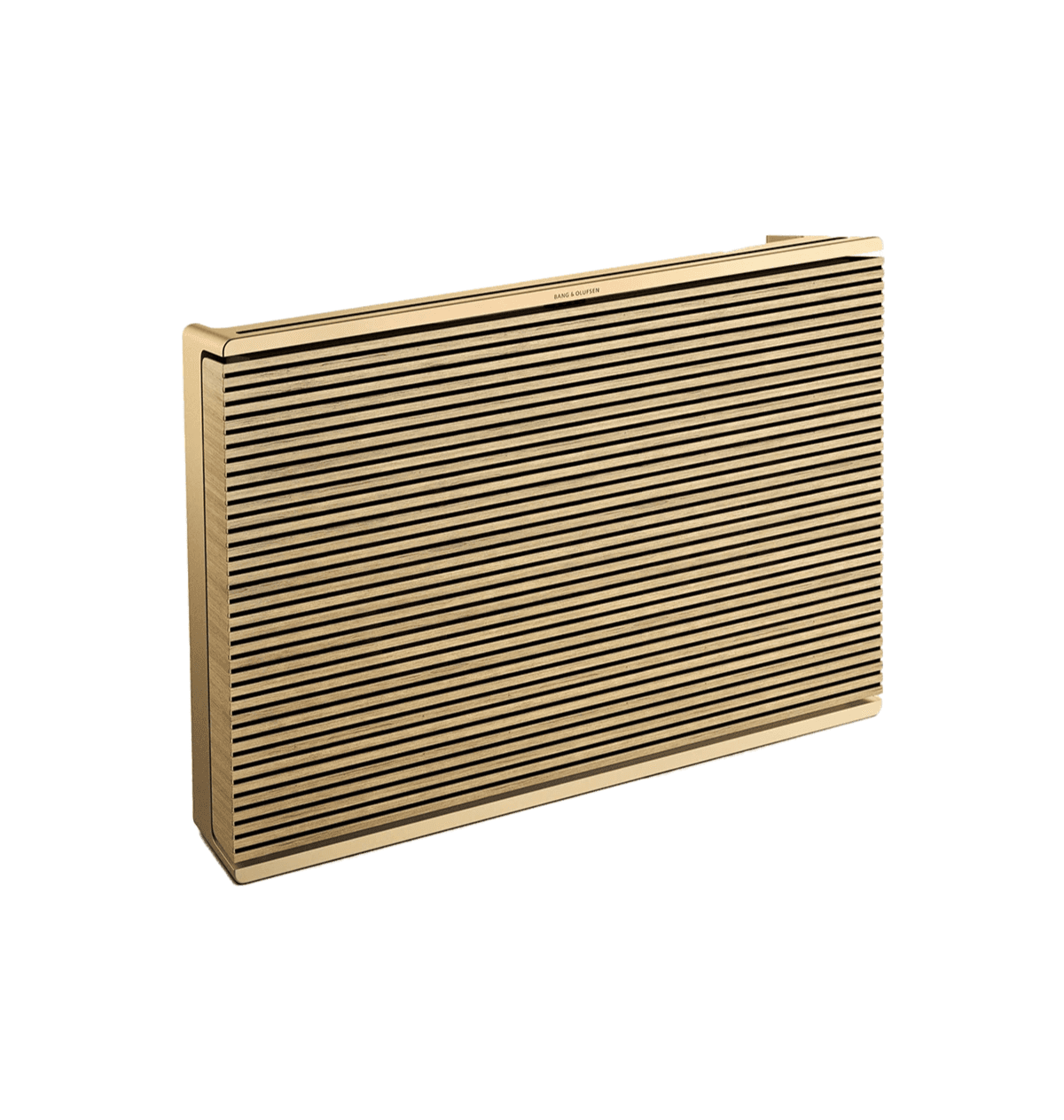 Bang & Olufsen Beosound Level Portable Wifi Speaker