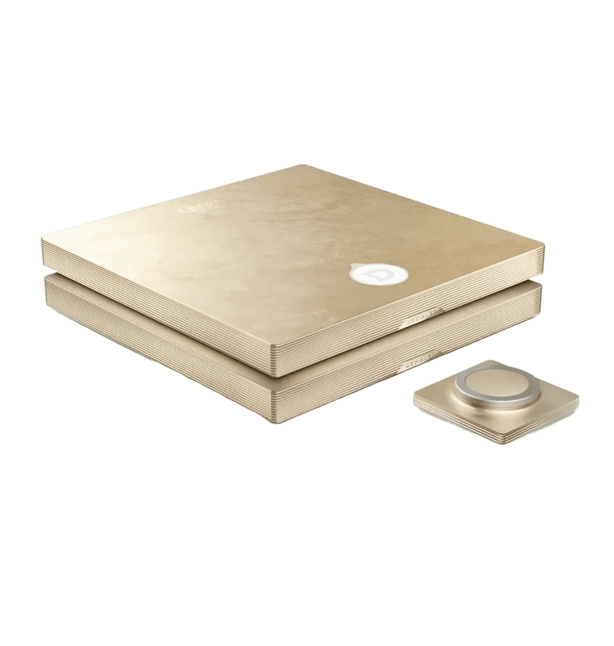 Devialet Astra Dual Amplifier